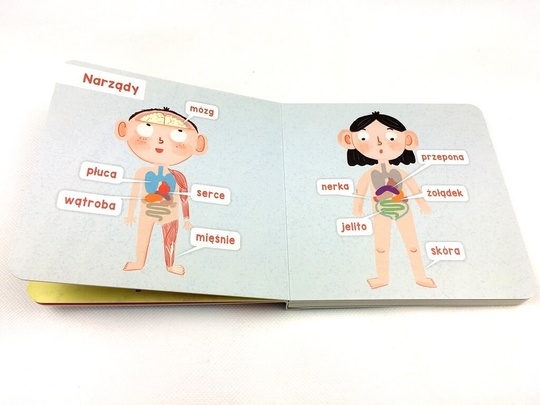 Ilustracje z ksi��ki